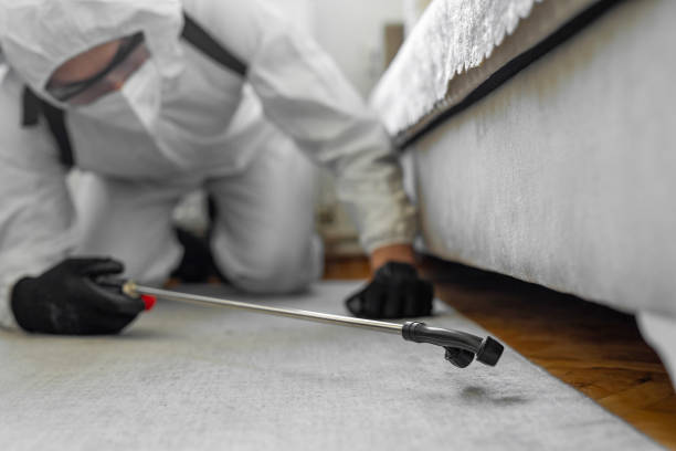 Professional Termite Control technician working in Calhoun Falls, SC