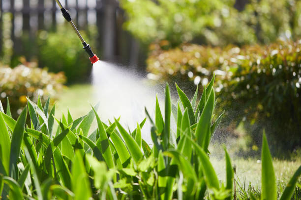 24/7 Emergency Termite Control experts in Calhoun Falls, SC