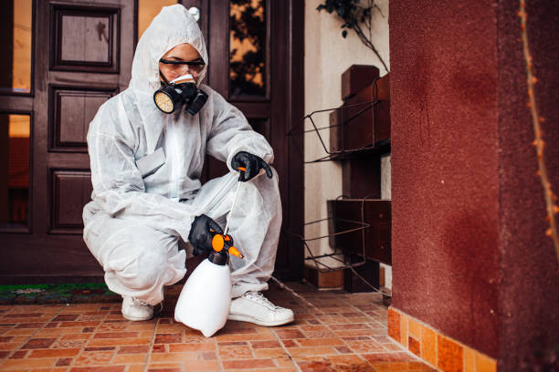 Reliable Termite Control contractor in Calhoun Falls, SC by Nex Pest Control