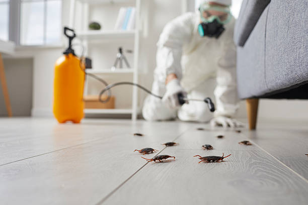 Trusted Cockroach Control service in Calhoun Falls, SC - Nex Pest Control