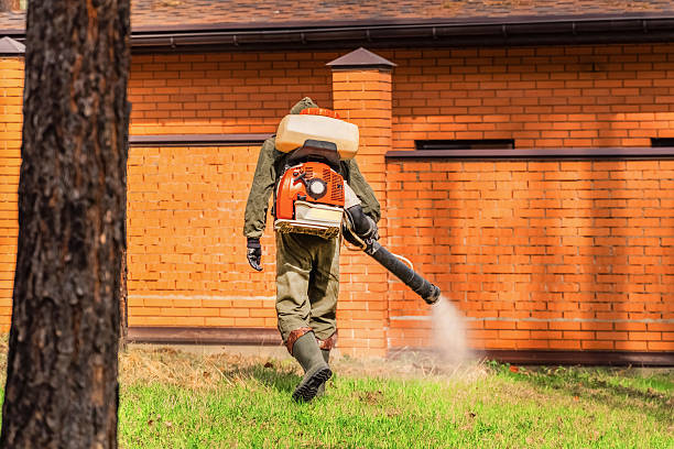 Trusted Rodent Control service in Calhoun Falls, SC - Nex Pest Control